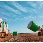 CARREGAMENTO FRETE CARGA FARDOS ALDOGÃO FOTO ABRAPA