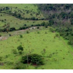 GEORREFERENCIAMENTO AREA DE PRESERVAÇÃO PERMANENTE MEIO AMBIENTE FOTO MMA