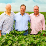 IRMÃOS BÜRGEL FOTO REDES SOCIAIS