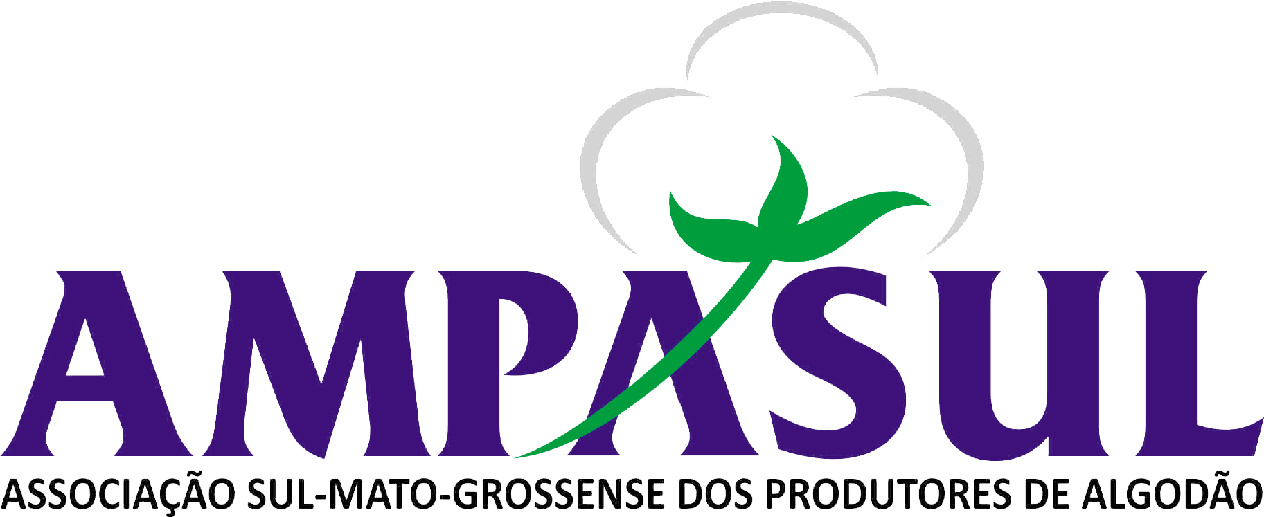 logo-transparente